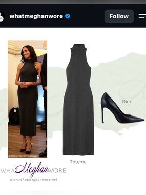 NWT Toteme Turtleneck Midi Dress ASO Meghan Markle
